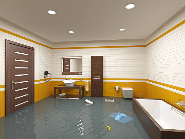 Best Water Damage Assessment and Inspection in Palatine, IL